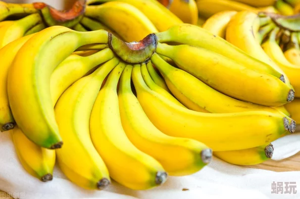 美国一级大黄香蕉片：健康美味的零食选择，尽享天然果香与营养