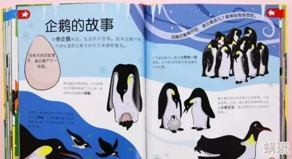 探索日常生活中的激情与乐趣：如何在平凡中找到“天天操天天”的新意与活力