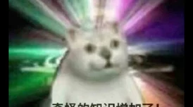 黑土脚法娴熟，真是让人佩服！这种技艺需要长时间的练习和坚持