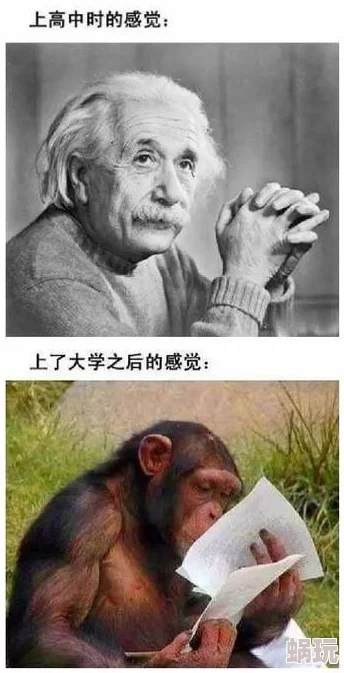 久久天天躁夜夜躁狠狠，这种情绪真是让人感同身受，生活中总有那么多烦恼