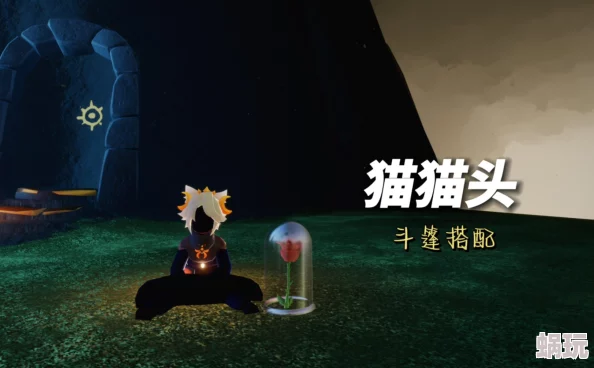 光遇游戏中猫猫头发型获取攻略：全面介绍猫猫头发型获得途径