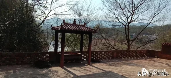 鲤鱼乡嗯啊快点进来动一下让我们一起积极向上，共同努力创造美好未来，携手前行迎接每一个新的挑战与机遇