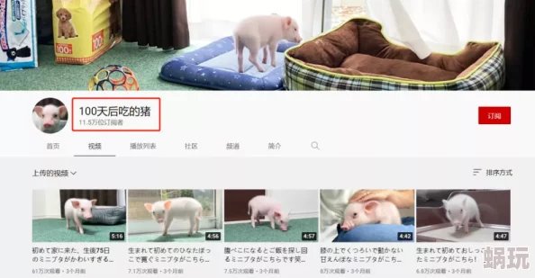 日本床上100网友认为这个话题非常有趣，很多人分享了自己的使用体验和推荐的品牌，讨论热烈