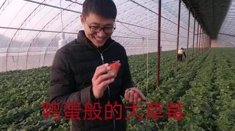 草莓视频CAOMEI888惊爆内幕曝光用户隐私泄露风险引发广泛关注和讨论平台安全性亟待提升