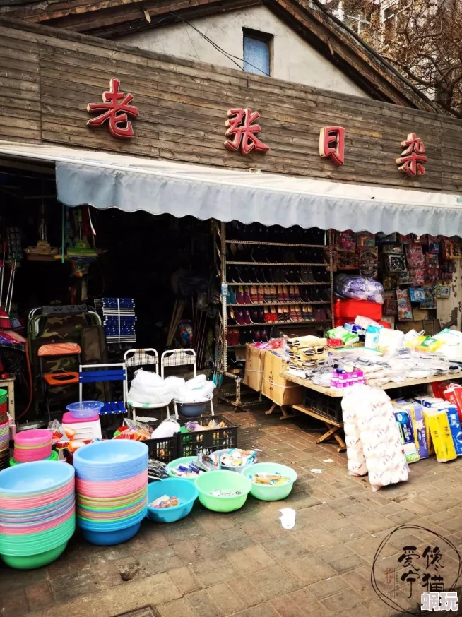 时光杂货店修水管全攻略：揭秘第10关高效通过技巧