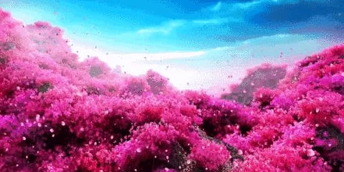 野地里的激情爽叫春天来了百花齐放鸟语花香蝶舞蜂忙