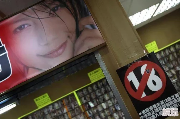 日韩黄色电影警方查获大型非法盗版网站数百TB数据被缴获