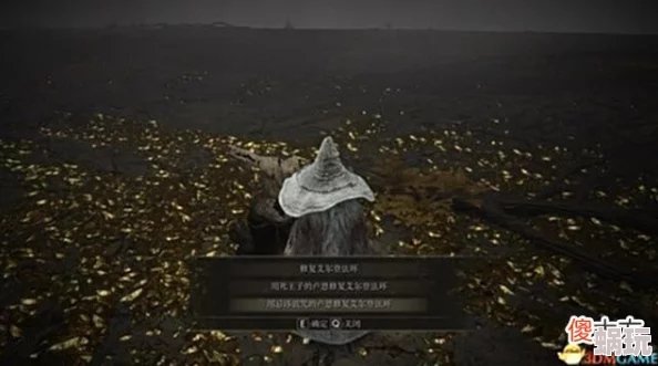 艾尔登法环全结局解析：新攻略揭秘哪个结局能让老婆存活至终章